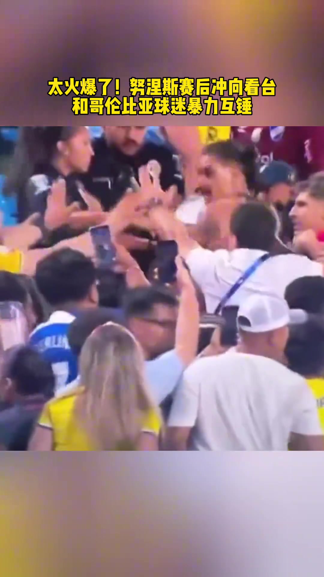 什么情况？努涅斯赛后冲向看台 与哥伦比亚球迷互殴！